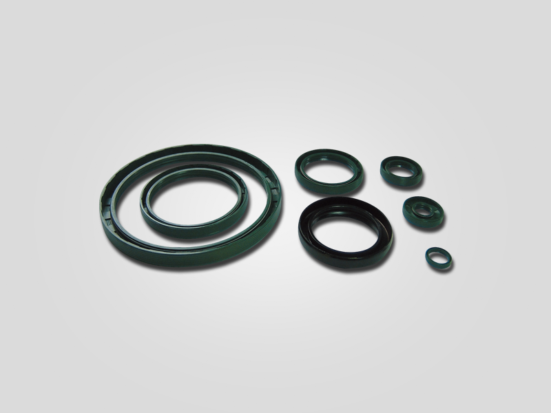 Lip seal (oil seal)